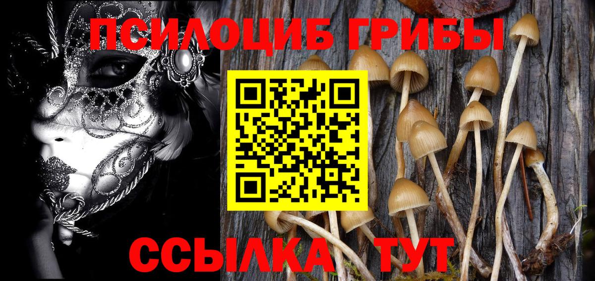 Галлюциногенные грибы Magic Shrooms Смоленск